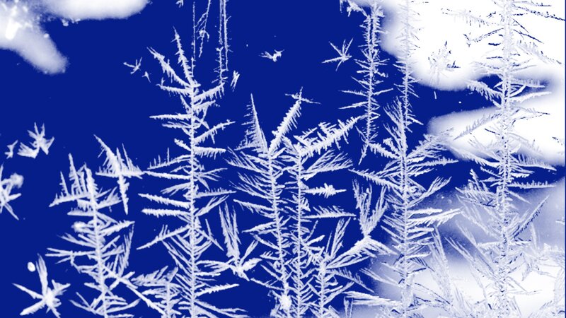 Frost Patterns on Glass — White, Cold, Winter