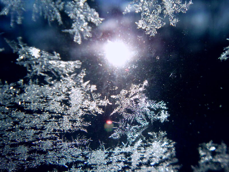 Frost Patterns on Glass — White, Dramatic
