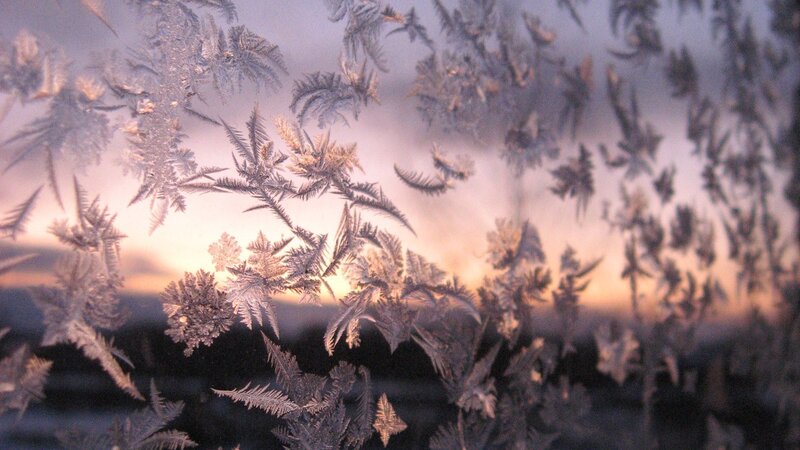 Frost Patterns on Glass — White, Serene
