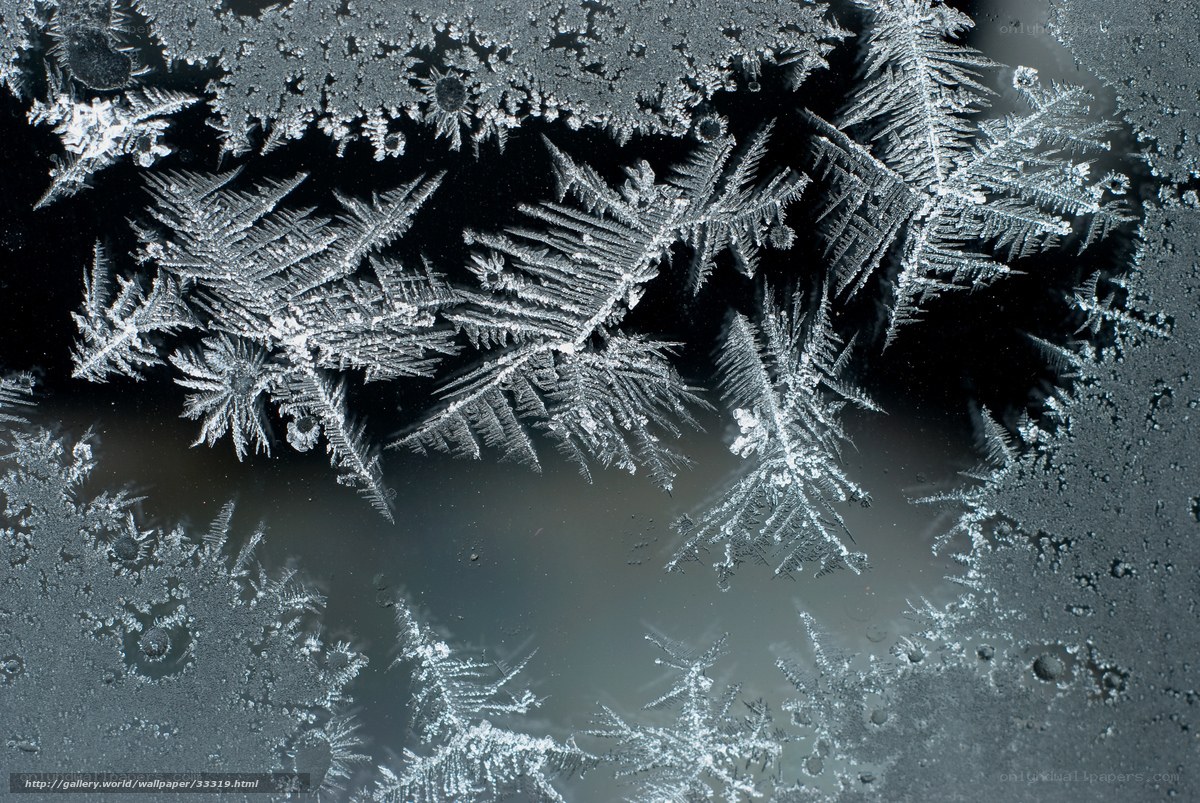 Frost patterns on glass