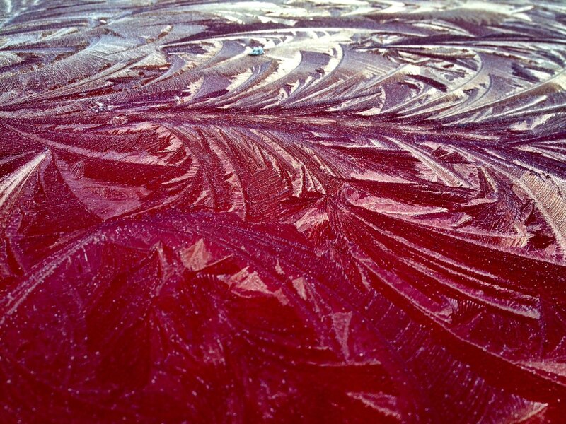 Frost Patterns on Surface