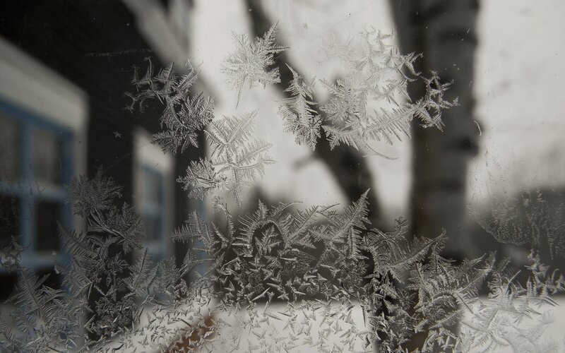 Frost Patterns on Window — Black