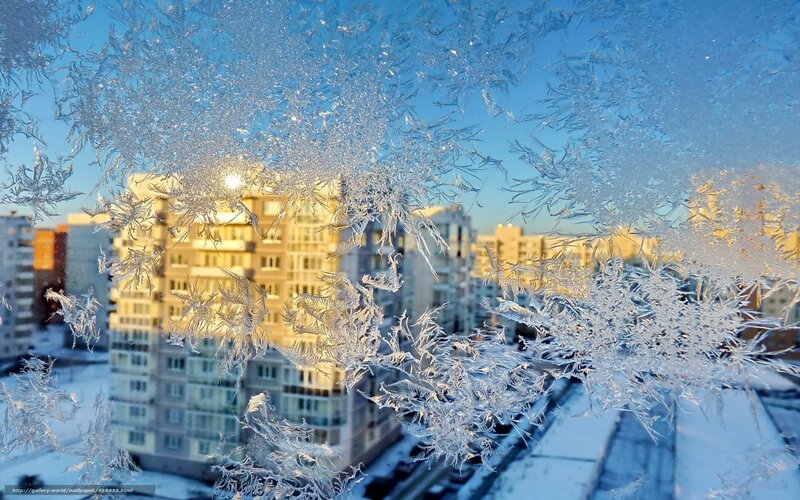 Frost Patterns on Window — Blue, Cold