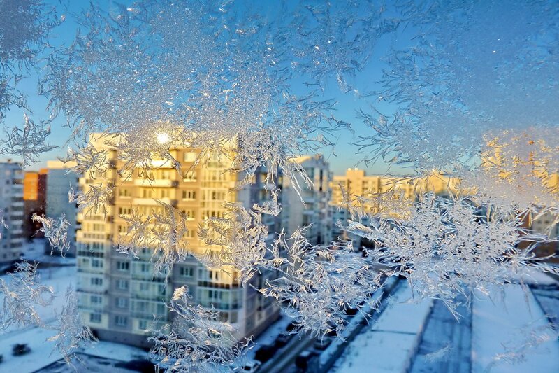 Frost Patterns on Window — Blue, Cold, Winter, Photograph