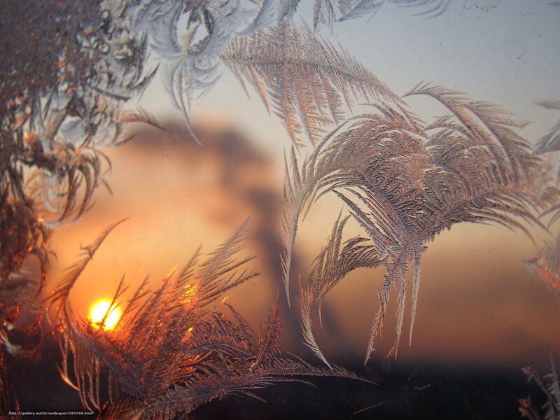 Frost Patterns on Window — Orange, Dramatic