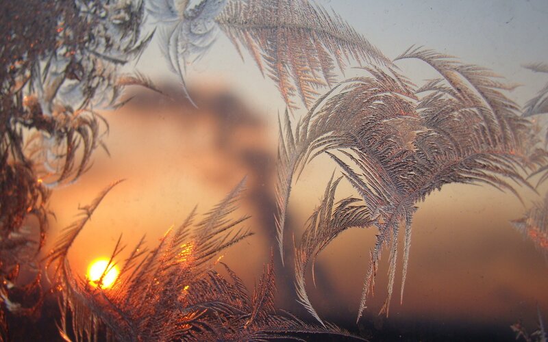 Frost Patterns on Window — Orange, Serene, Sunset