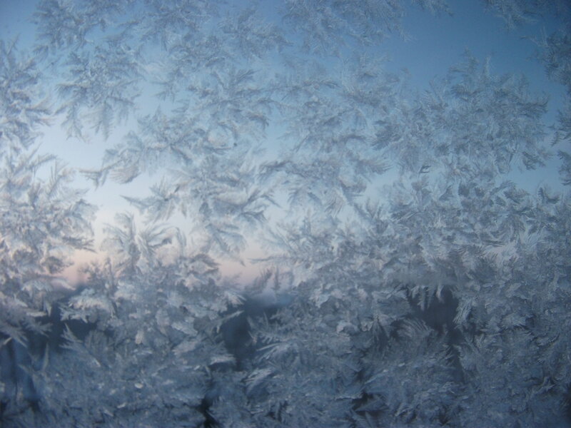 Frost Patterns on Window