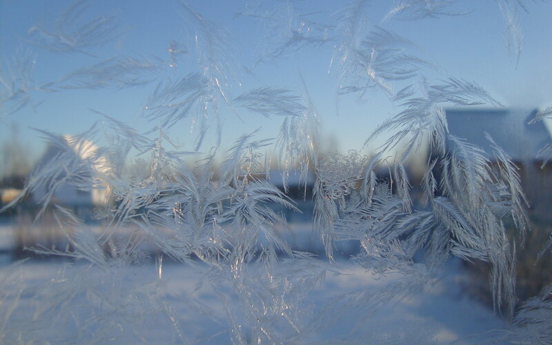 Frost Patterns on Window — White, Cold