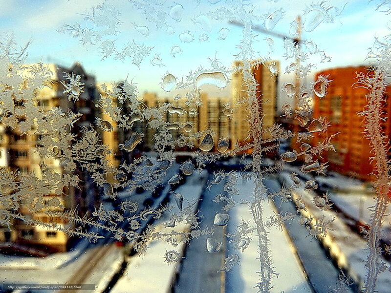 Frost Patterns on Window — White, Cold, Winter, Photograph, Buildings