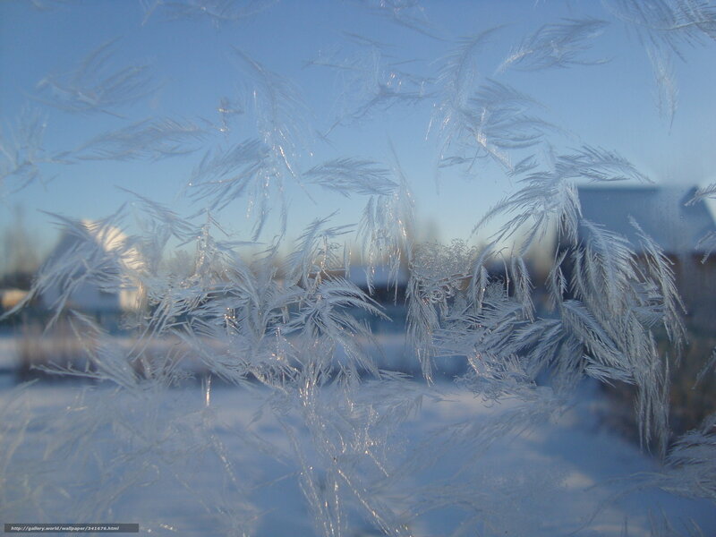 Frost Patterns on Window — White, Cold, Winter, Photograph, Snow