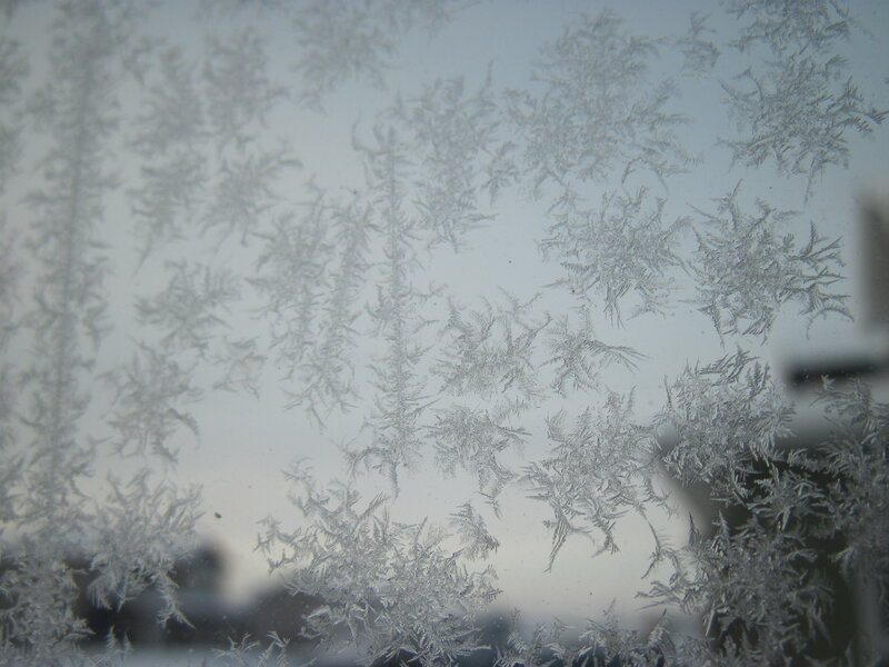 Frost Patterns on Window — White, Cold, Winter