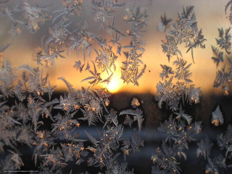 Frost Patterns on Window — Yellow, Dramatic