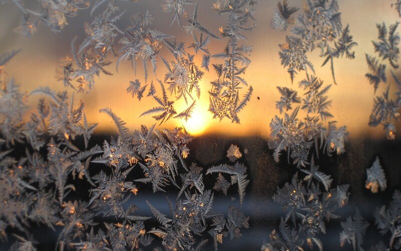 Frost Patterns on Window — Yellow, Serene