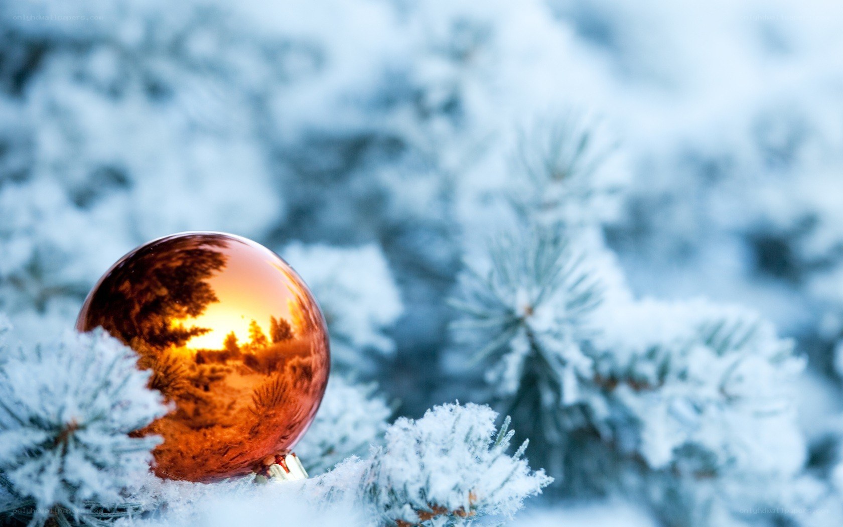 frosted branch with ornament
