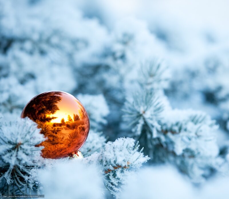frosted branch with ornament