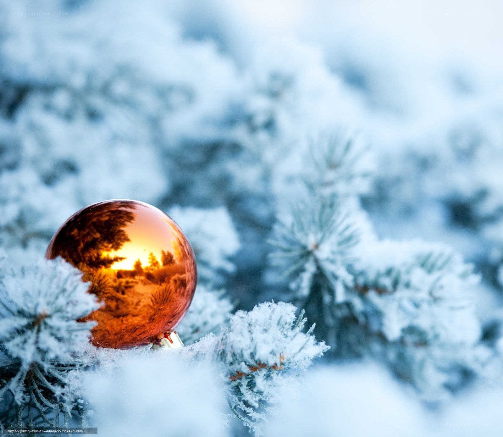frosted branch with ornament