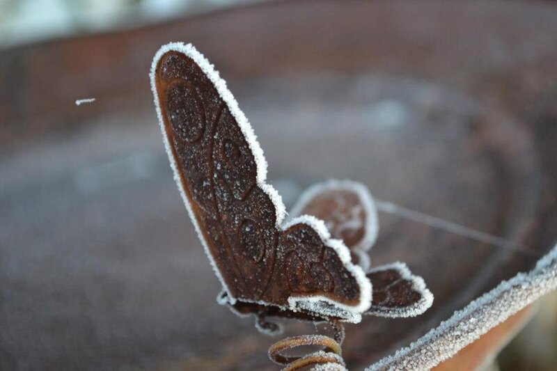 Frosted Butterfly Ornament