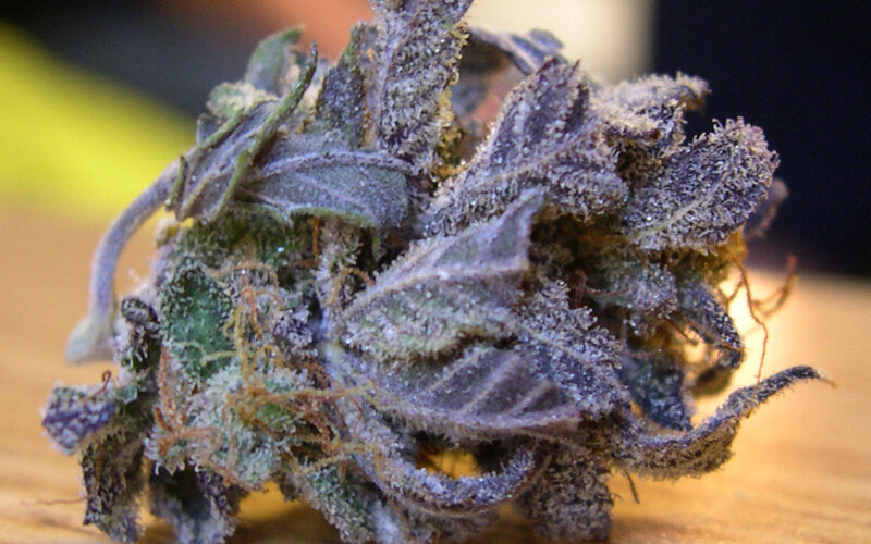 frosted cannabis bud