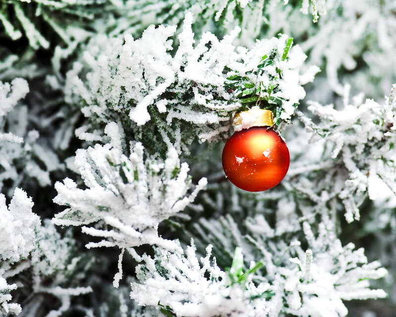 Frosted Christmas Ornament
