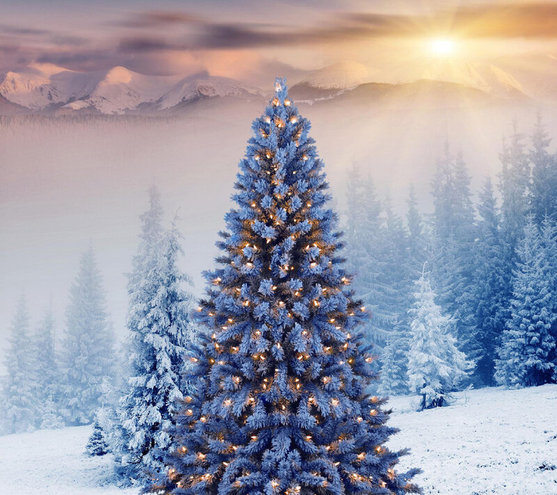 Frosted Christmas Tree — Blue, Serene