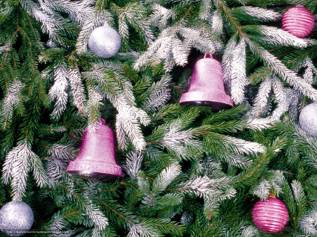 frosted christmas tree ornaments