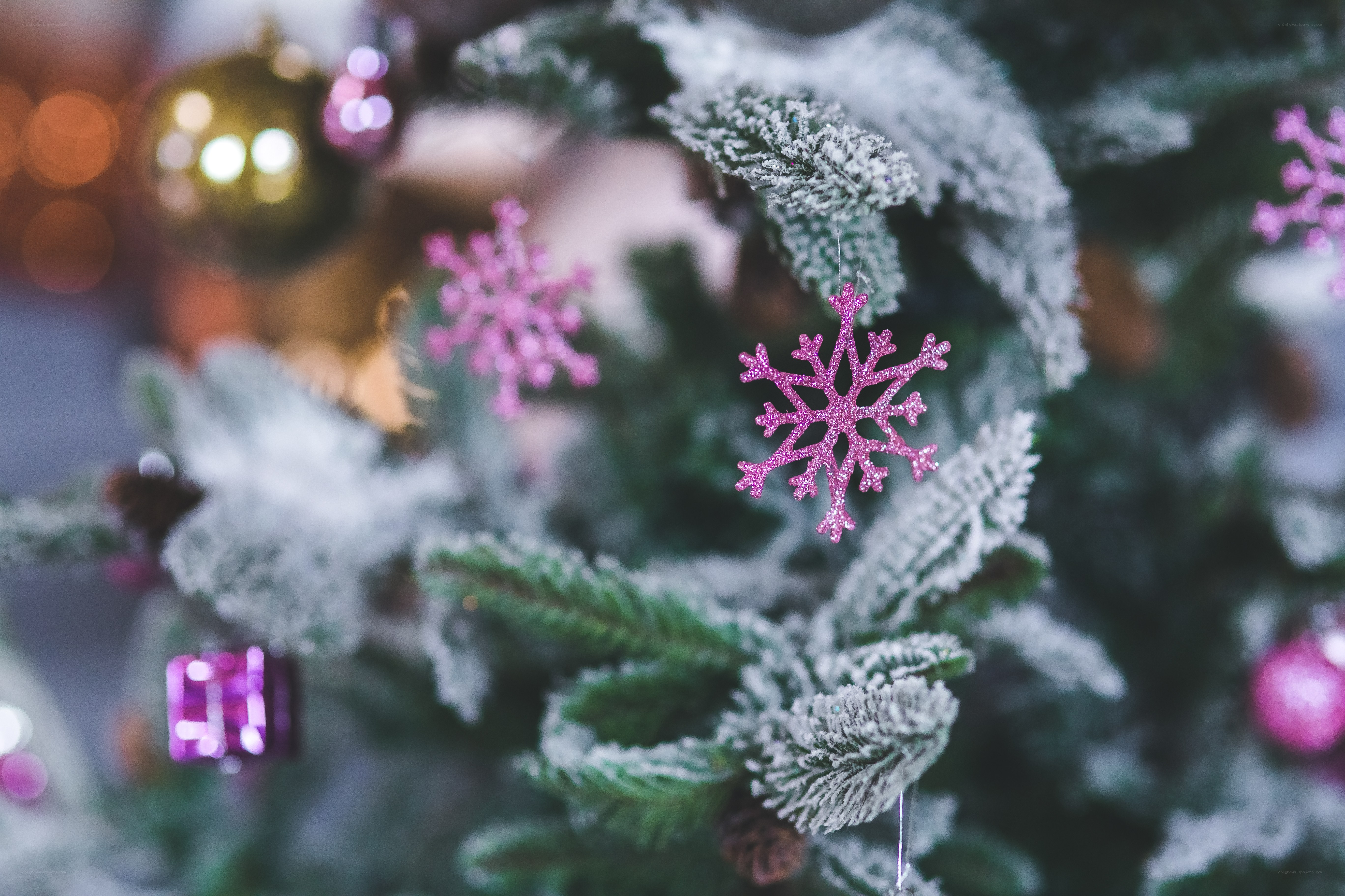 frosted christmas tree with ornaments