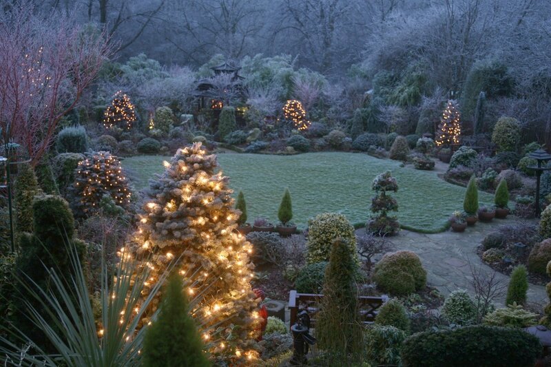 Frosted Garden at Night
