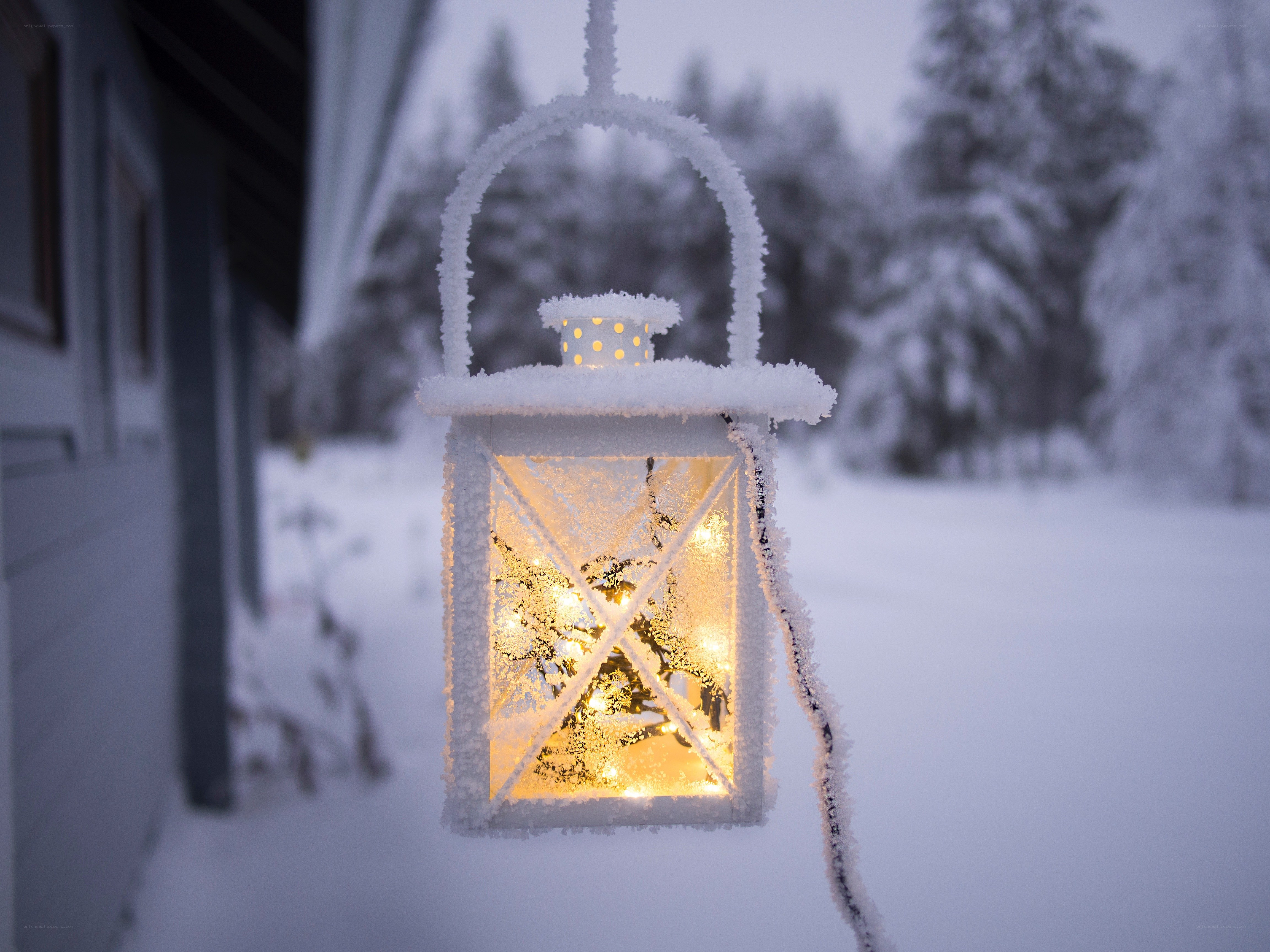 frosted lantern in winter