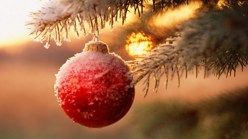frosted ornament on a tree