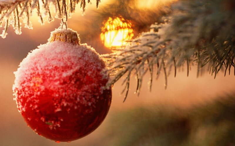 frosted ornament on a tree
