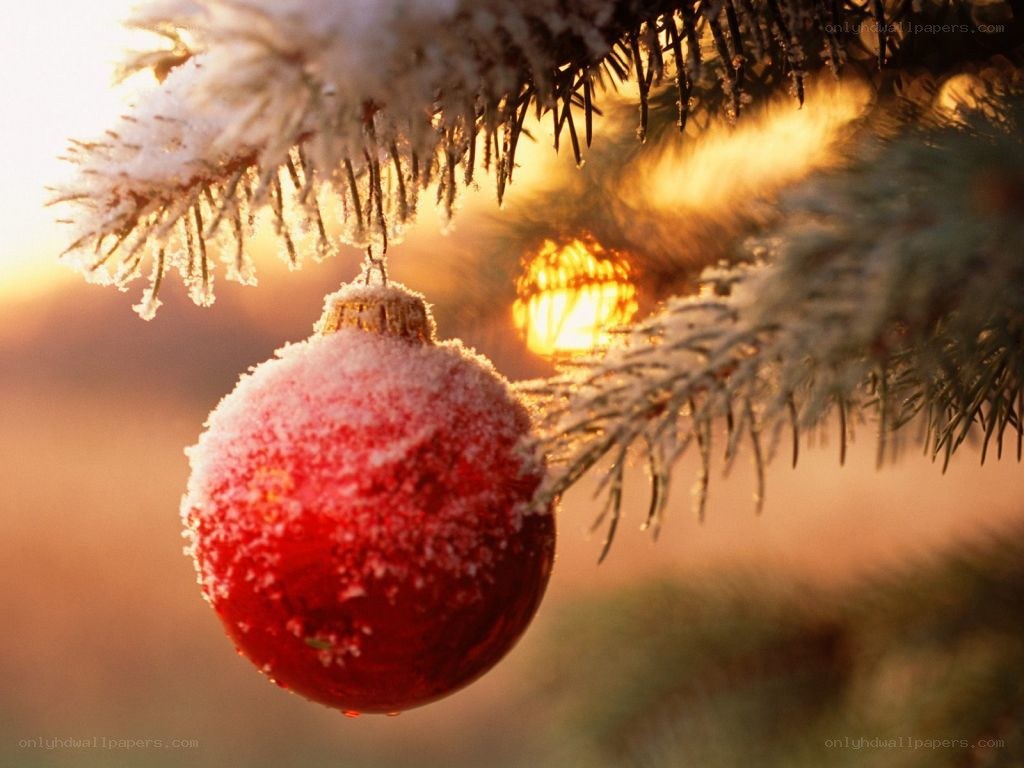 frosted ornament on a tree