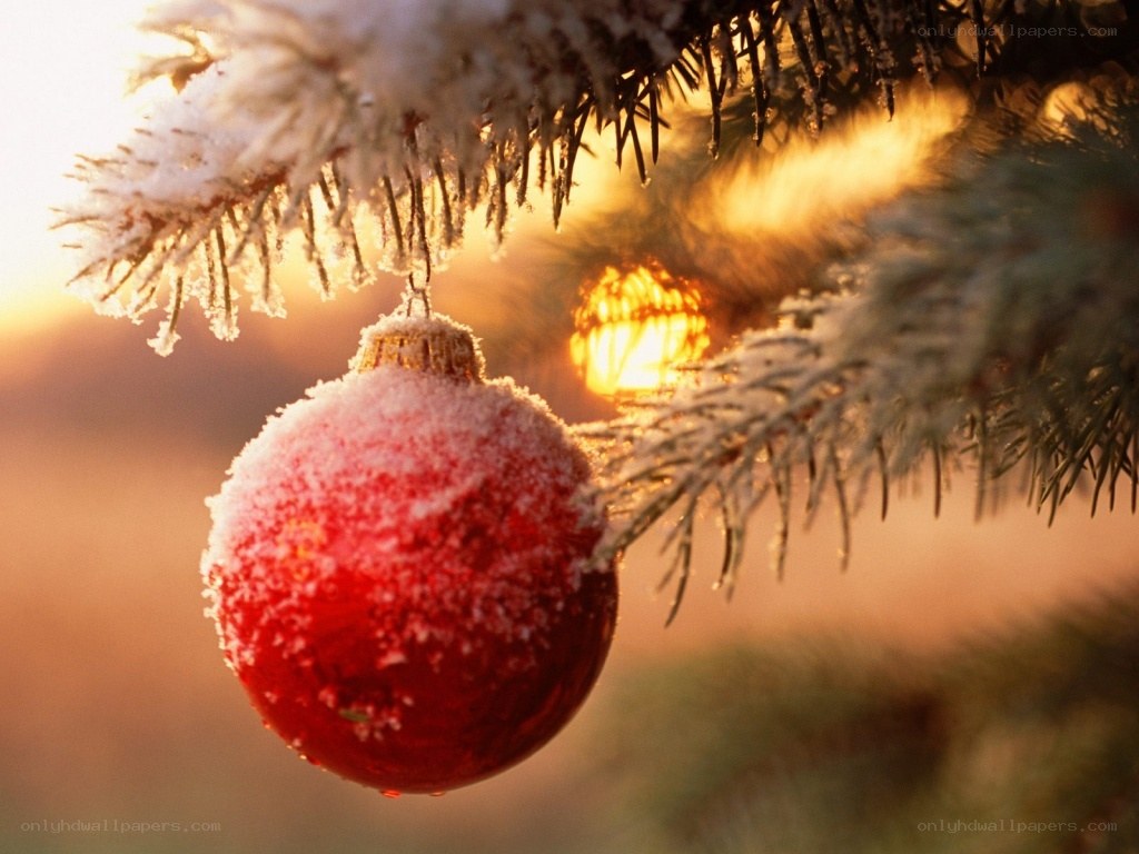 frosted ornament on a tree