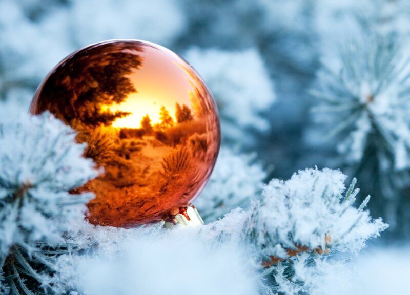 Frosted Ornament on Pine