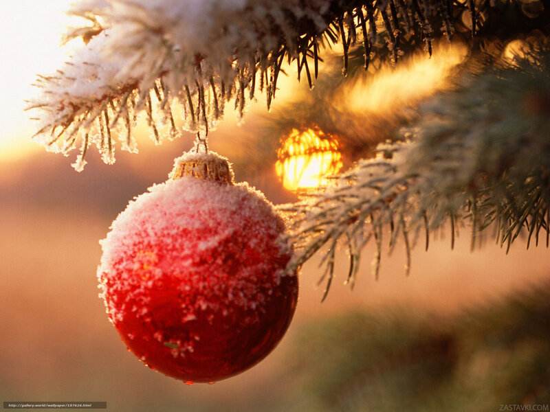 frosted ornament on tree