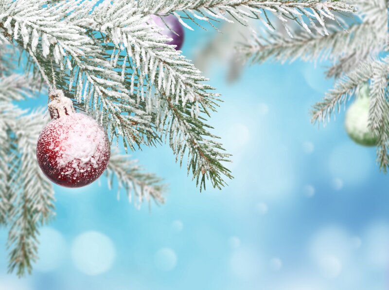 Frosted Pine Branch with Ornaments