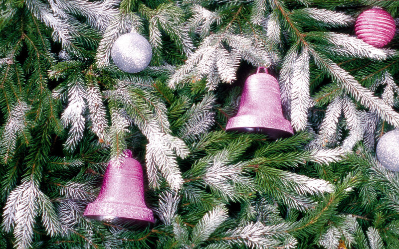Frosted Pine Branches — Green, Festive