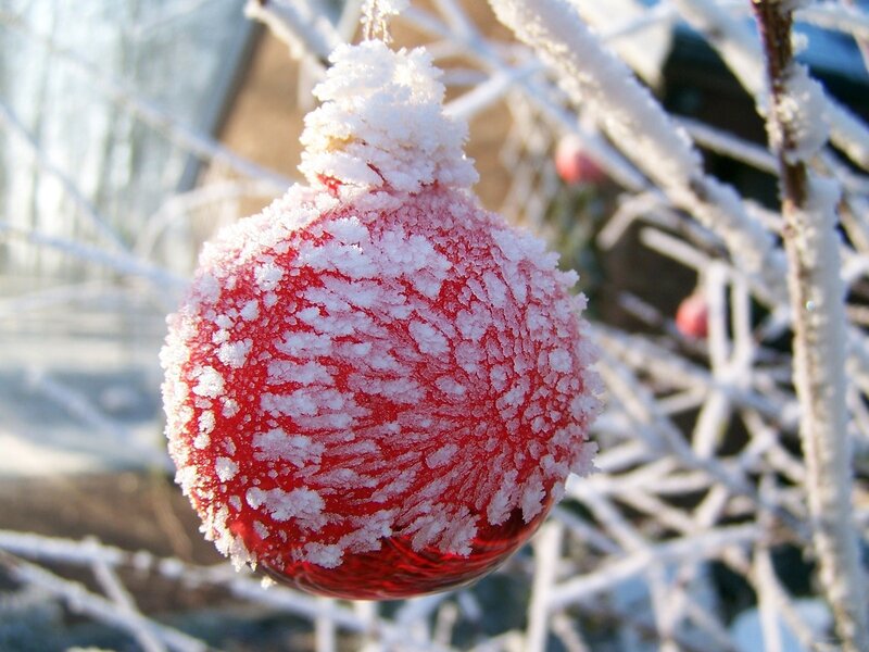 frosted red ornament