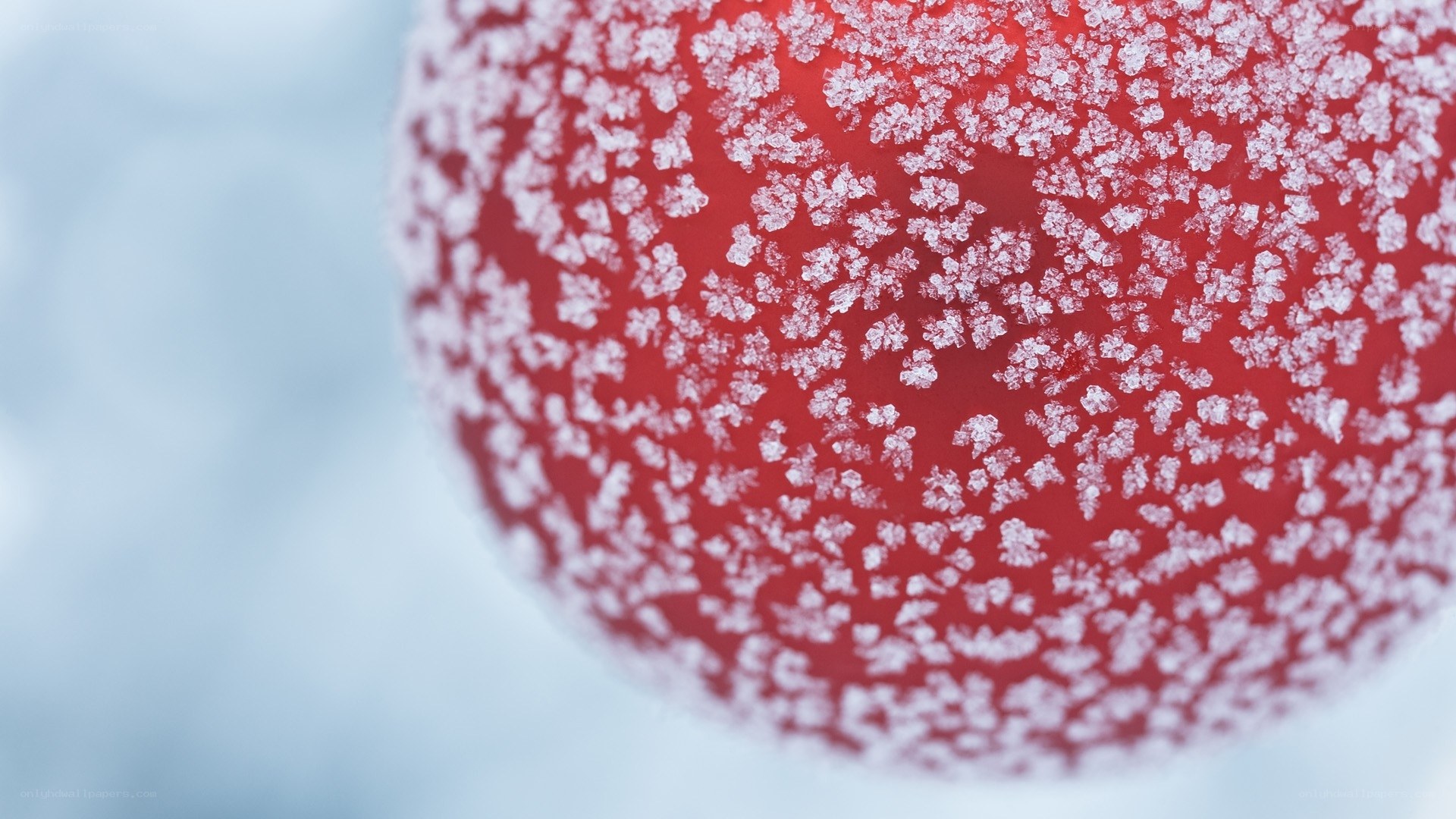 frosted red ornament