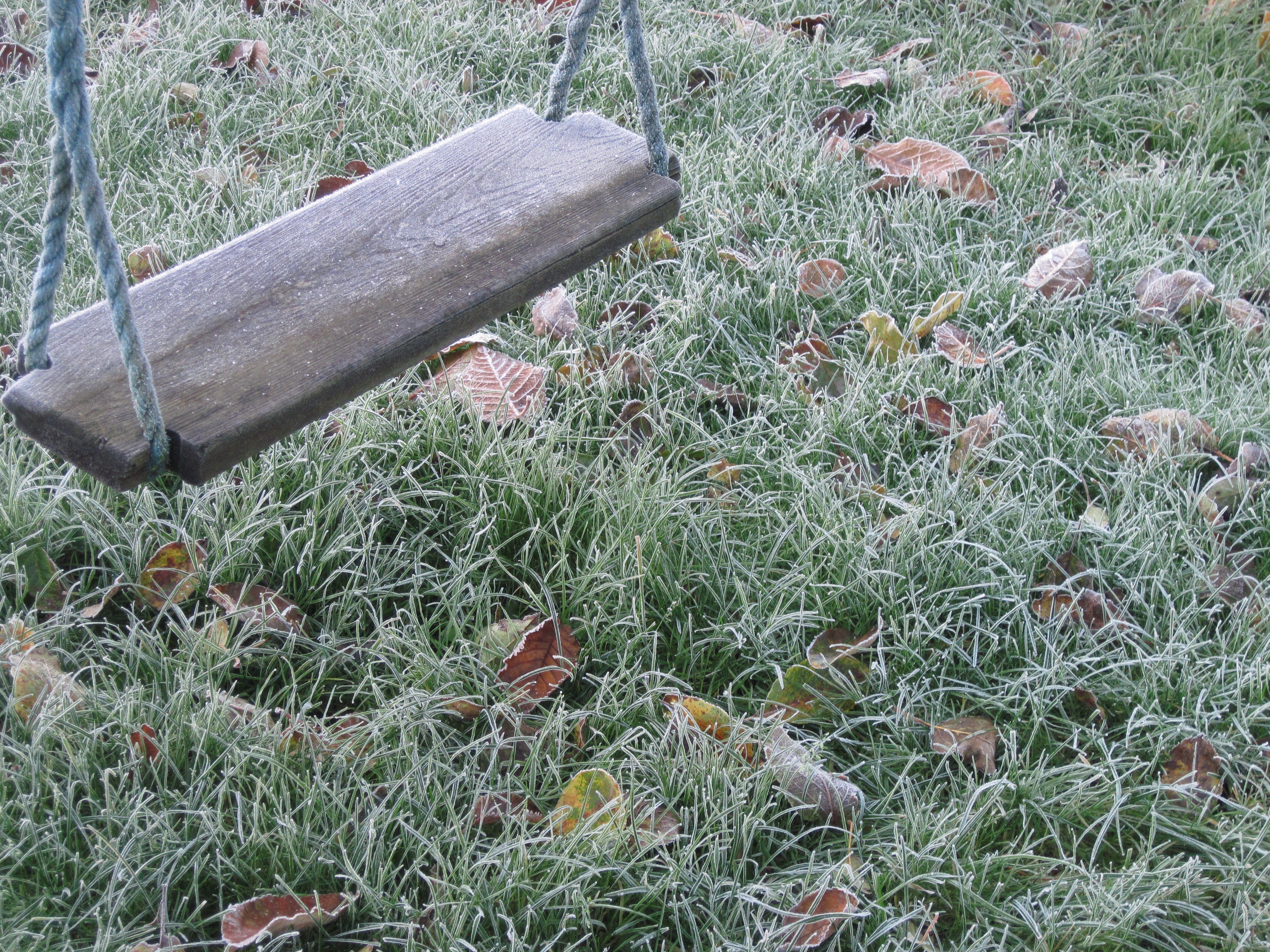Frosted swing on a cold morning