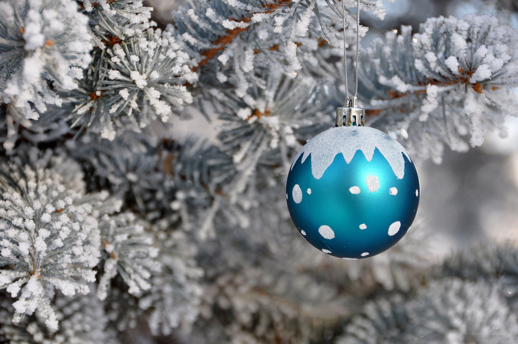 frosted tree with blue ornament