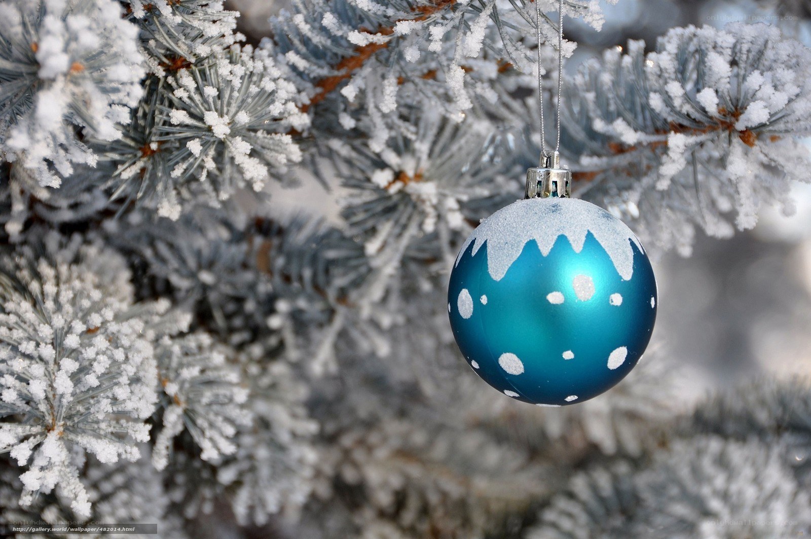 frosted tree with blue ornament