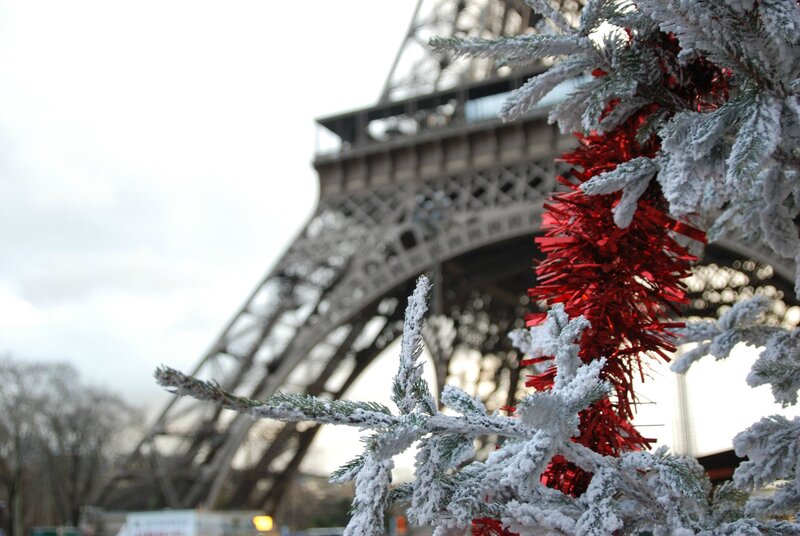 Frosted tree with Eiffel Tower