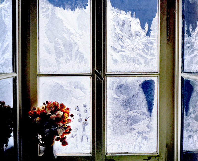 Frosted Window with Flowers