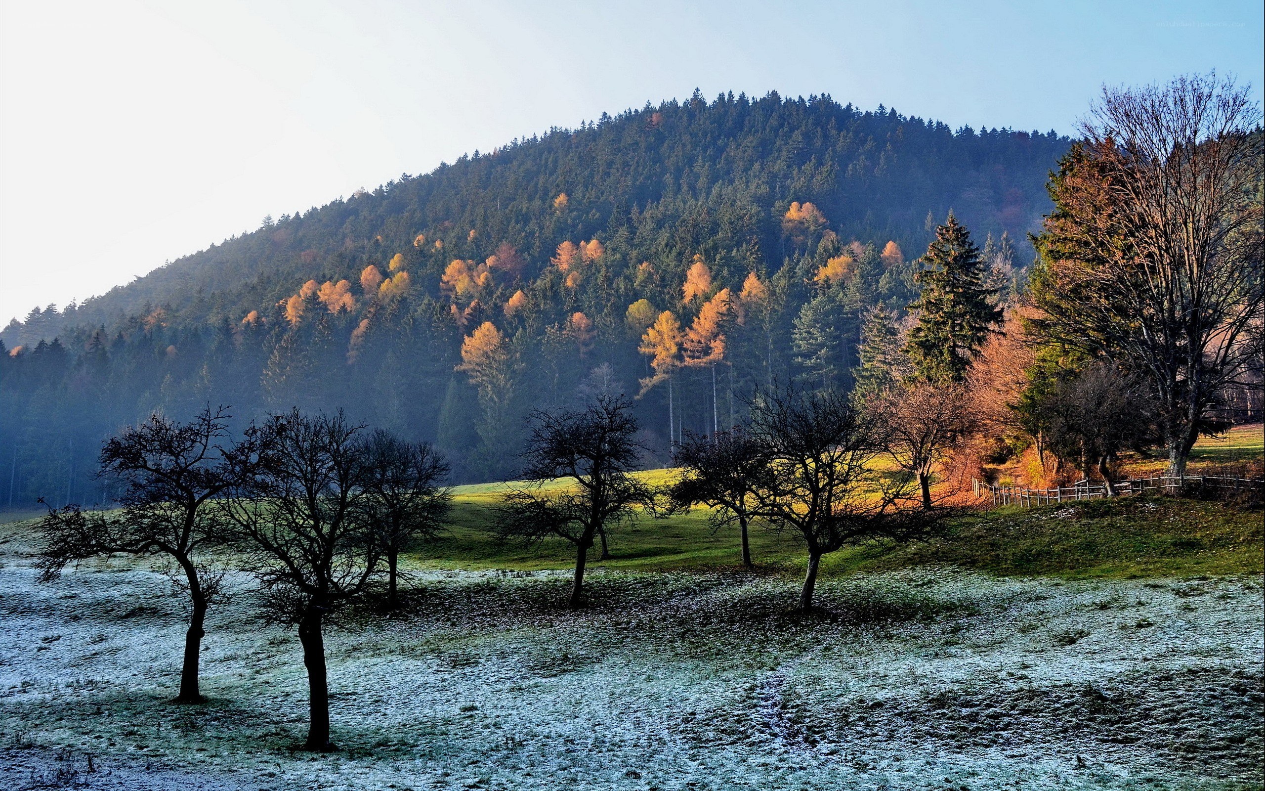 Frosty autumn landscape