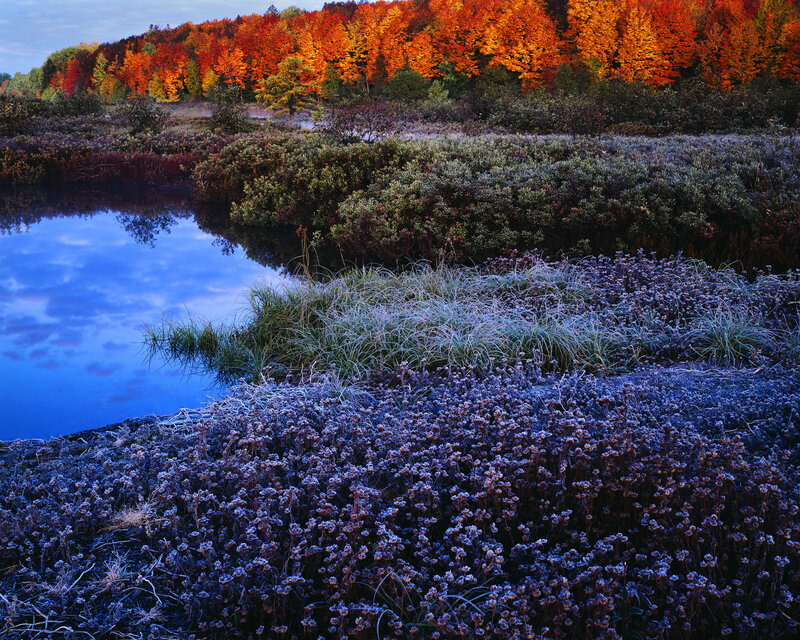 Frosty autumn landscape with colorful trees