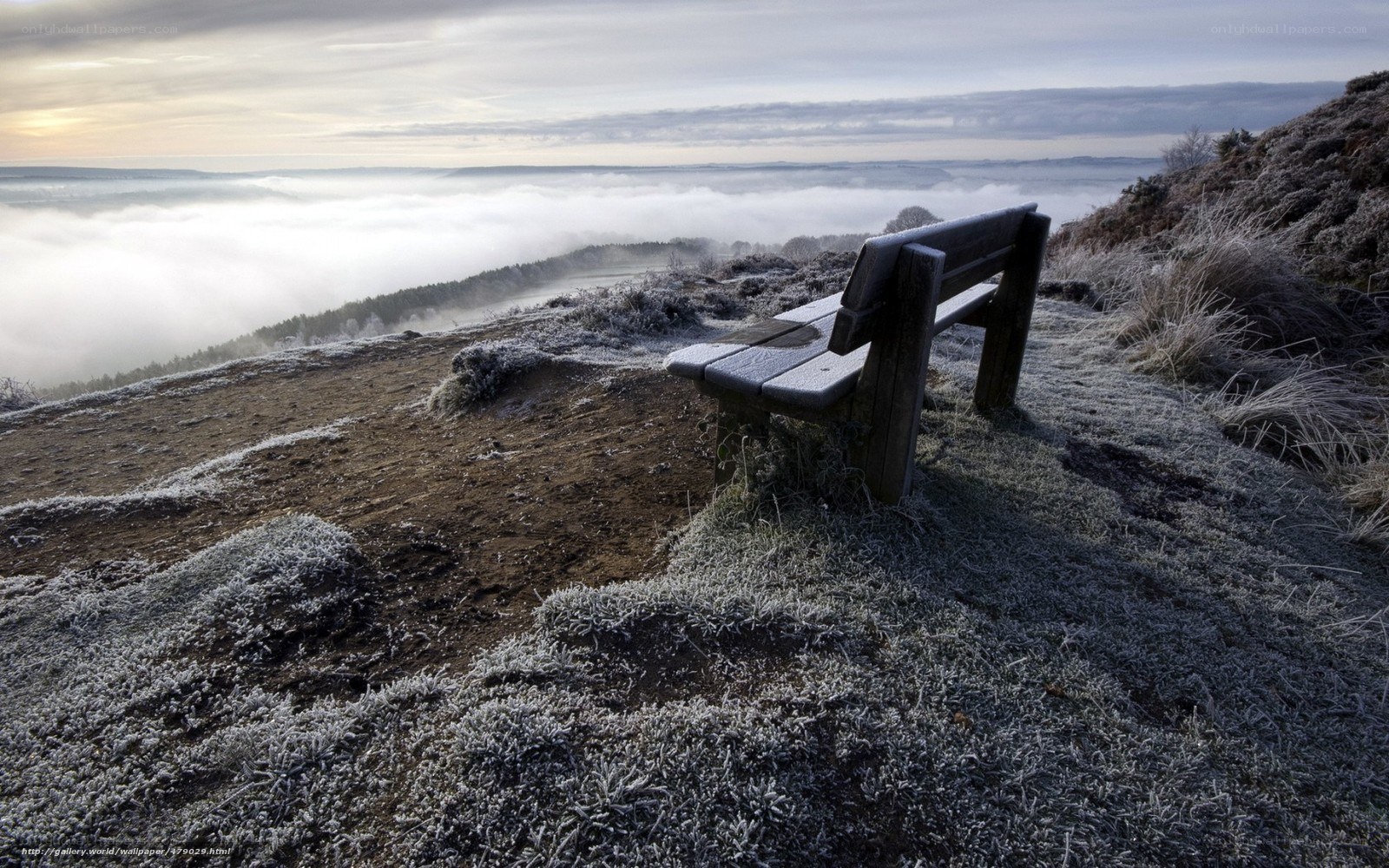 Frosty bench overlooking fog