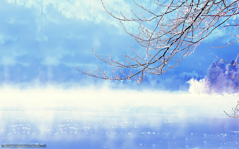 Frosty branch over misty lake