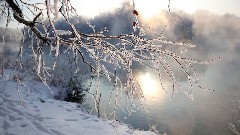 frosty branches by a misty river