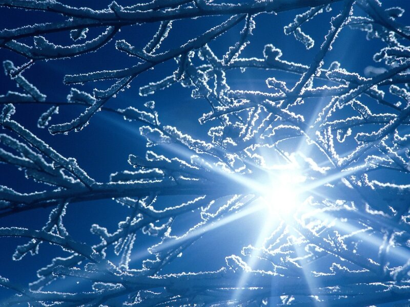 Frosty branches with sunburst