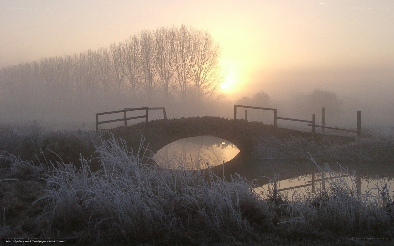 Frosty bridge at sunrise